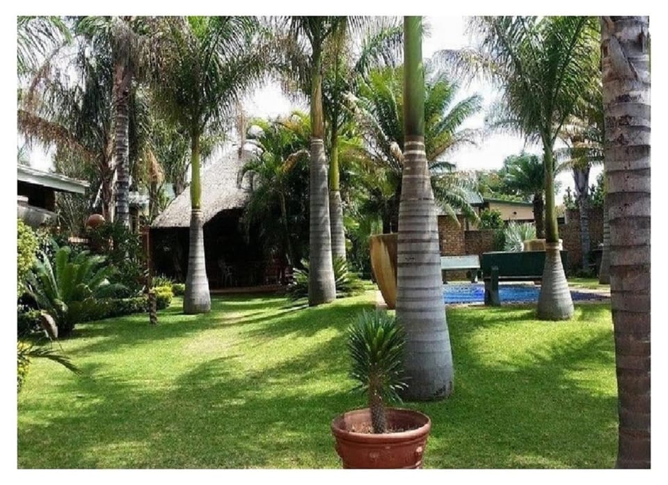 Garden, Swimming pool