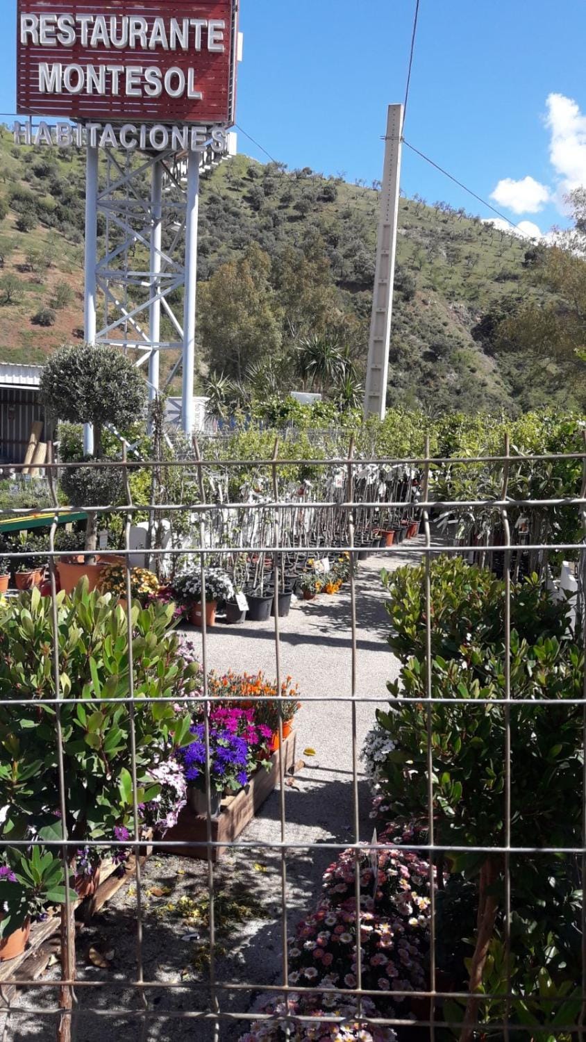 Nuevo Montesol Bed and Breakfast in Andalusia