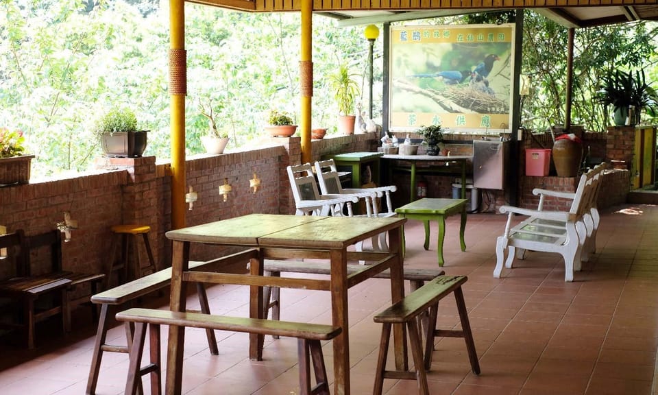 Patio, Living room