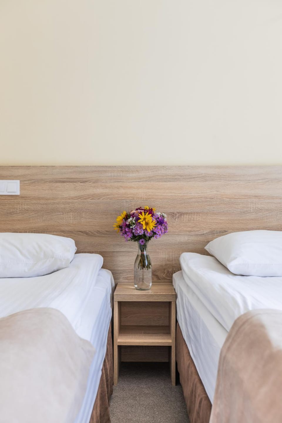 Nikotel Hotel Mykolaiv Hotel in Ukraine