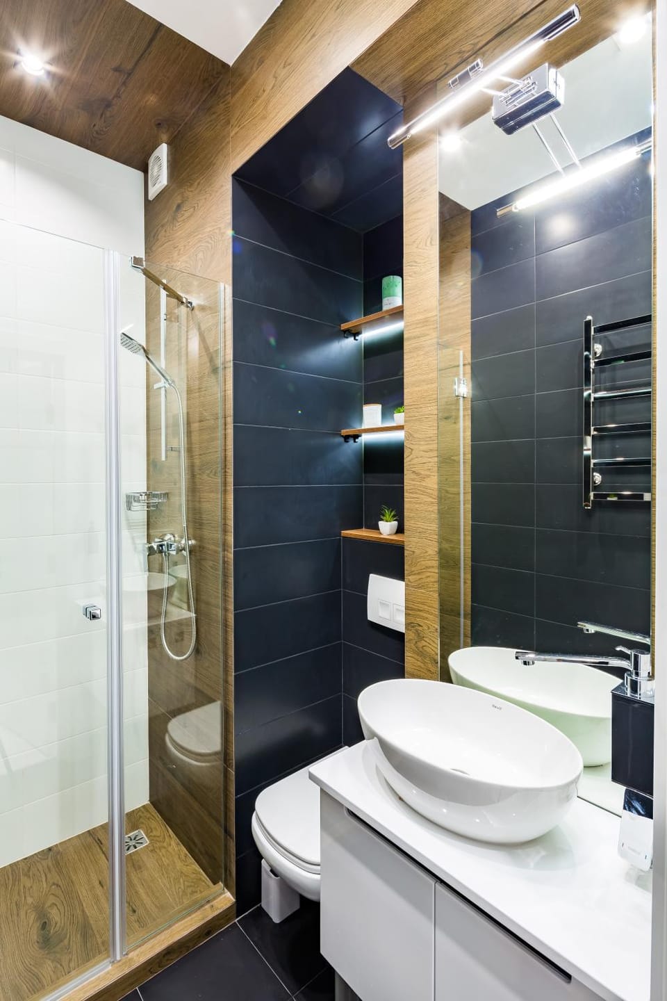 Shower, Toilet