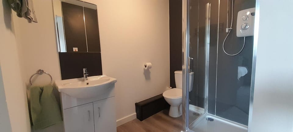 Shower, Toilet, Bathroom, towels