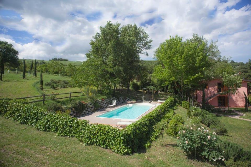 Garden, Swimming pool