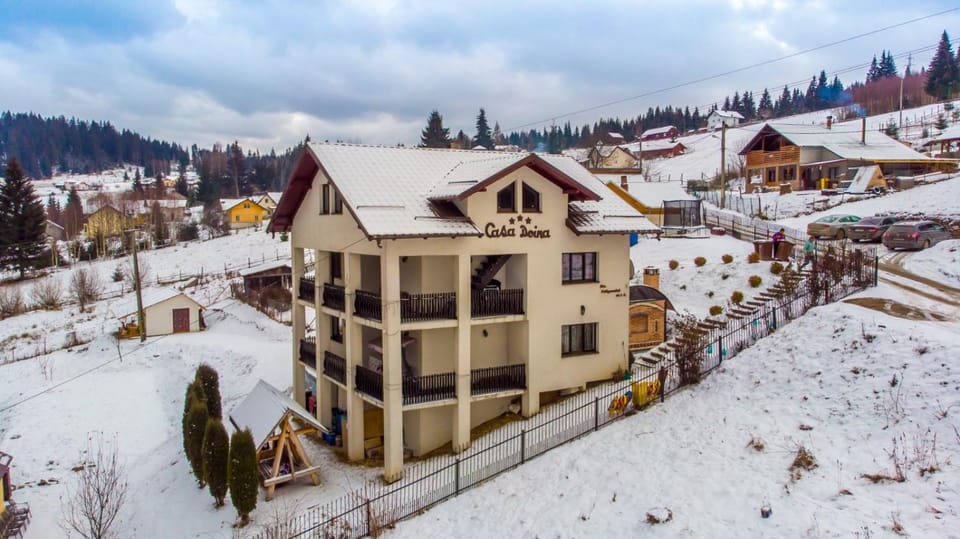 Casa Doina House in Romania