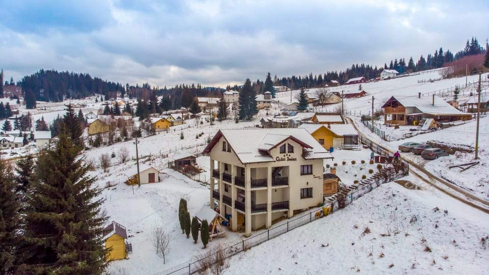 Casa Doina House in Romania