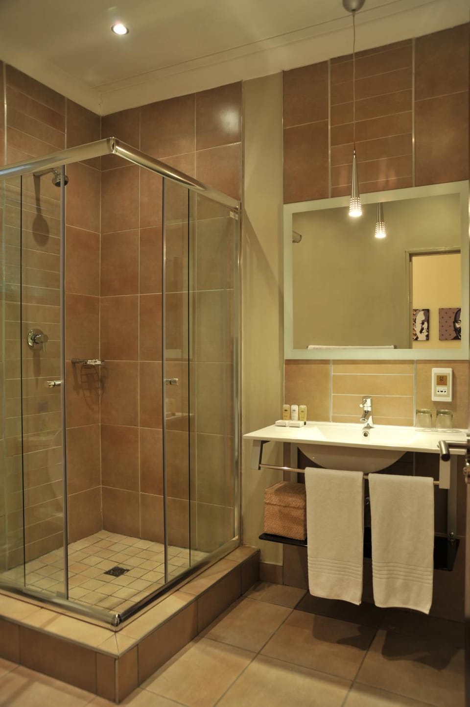 Shower, Bathroom