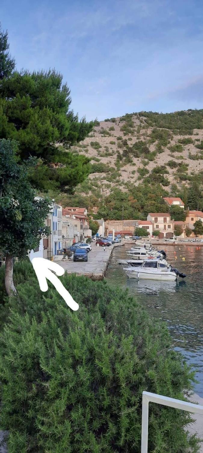 Sea view