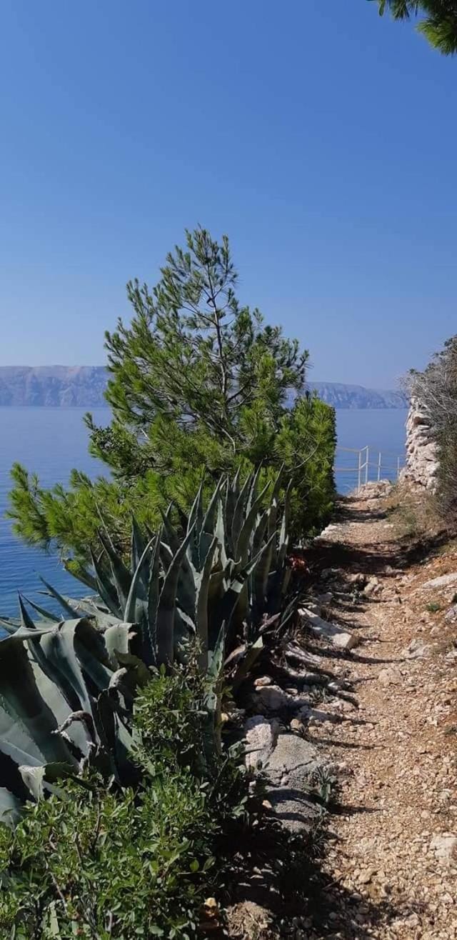 Natural landscape
