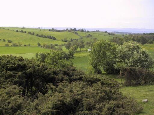 Natural landscape
