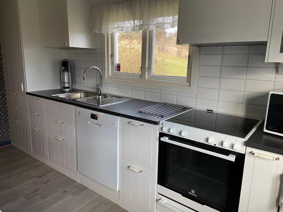 dishwasher, pet friendly, stove, kitchen