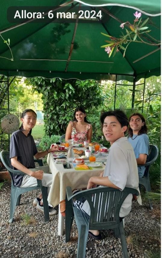 B&B delle Arti Bed and Breakfast in Crema