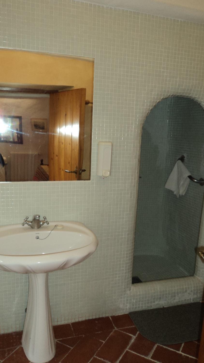 Shower, Toilet, Decorative detail