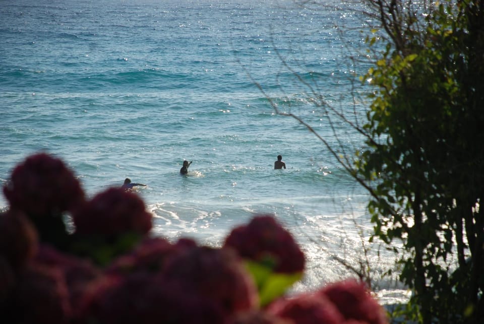 Summer, Windsurfing