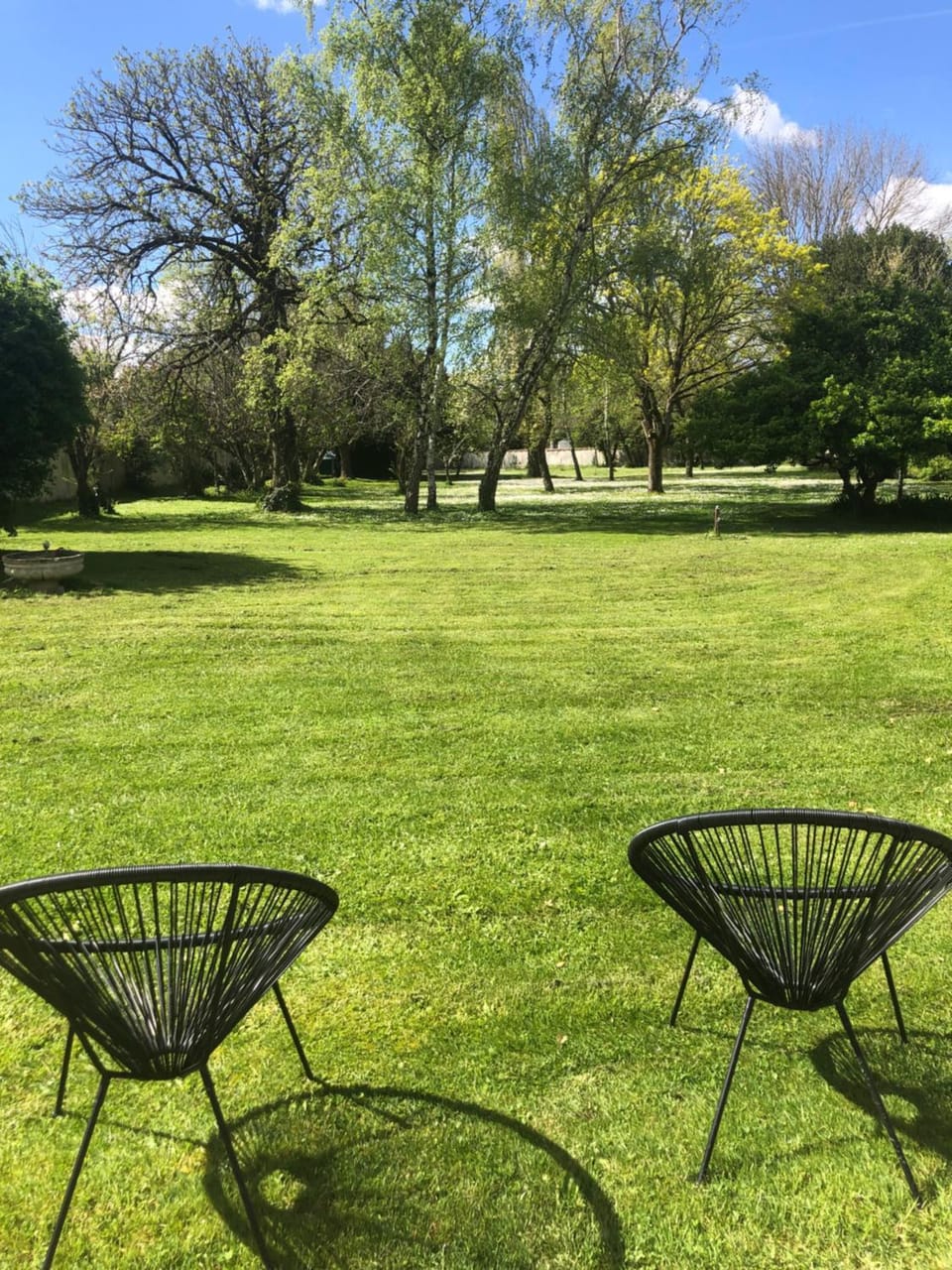Garden, Garden, Garden view, Garden view