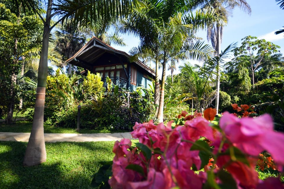 Spring, Spa and wellness centre/facilities