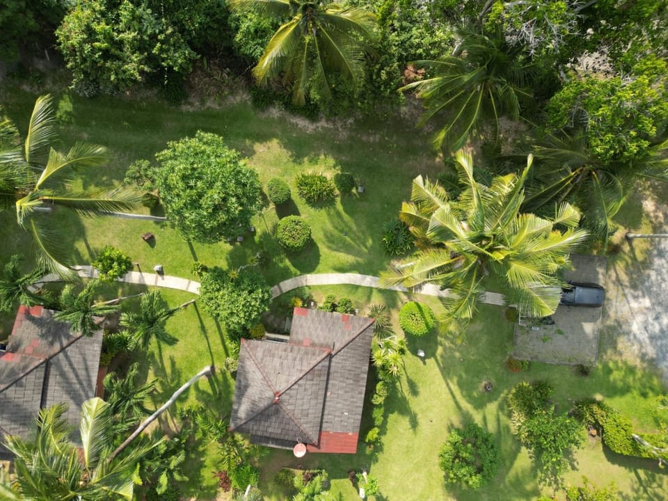 Silent Palm Samui Villa in Ko Samui