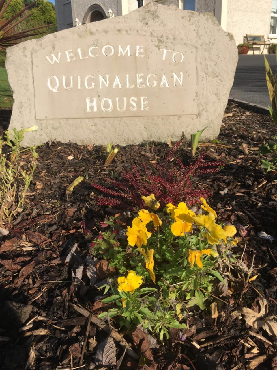 Quignalegan House Bed and Breakfast in County Sligo