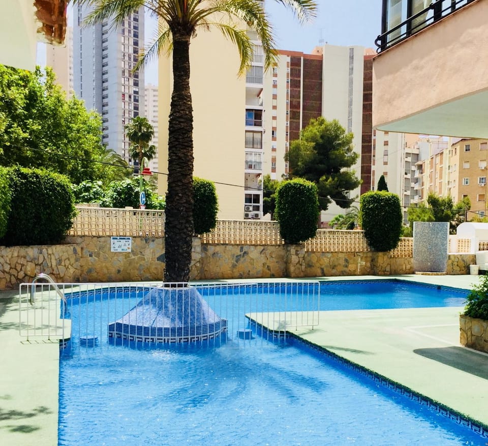 Swimming pool, Swimming pool