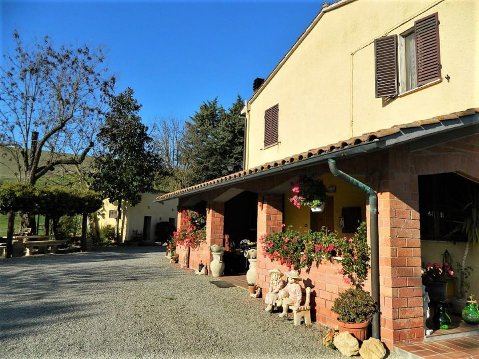Property building, Garden view