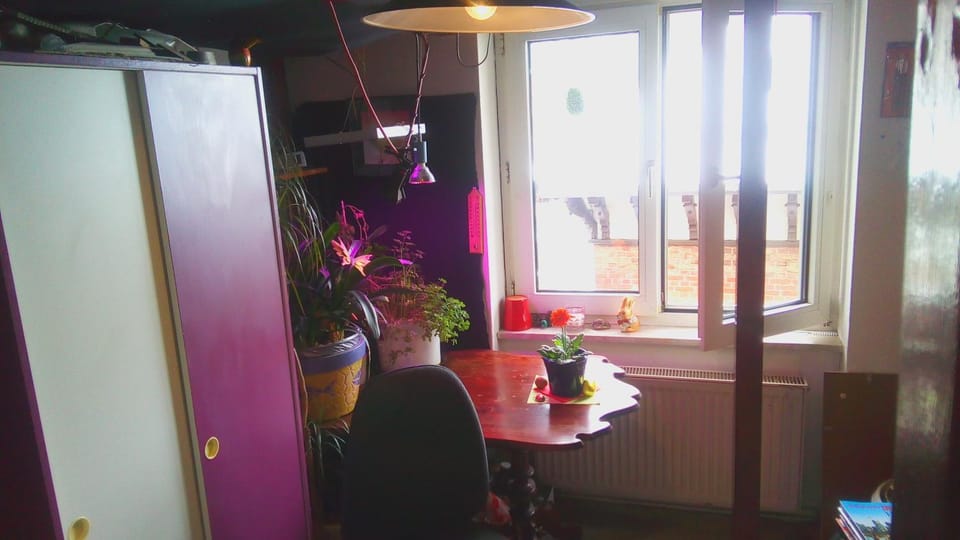 Photo of the whole room, Decorative detail, Seating area, Dining area, Bedroom, wardrobe