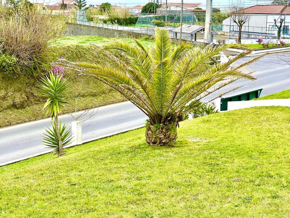 Casa Quinta das Férias House in Azores District