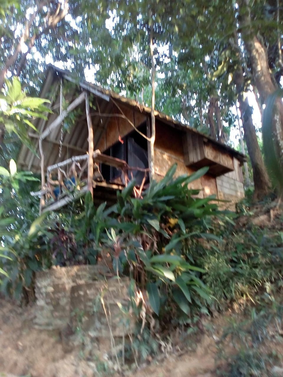 Nice View Bungalow Nature lodge in Thailand