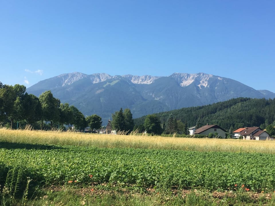 Natural landscape