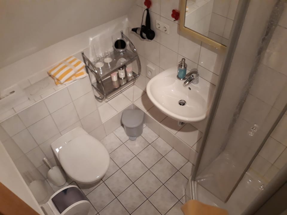Shower, Toilet, Bathroom, towels