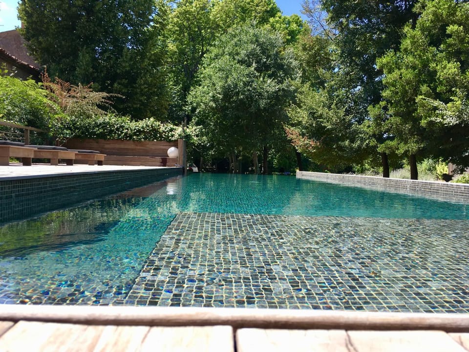 Garden, Garden, Swimming pool, Swimming pool