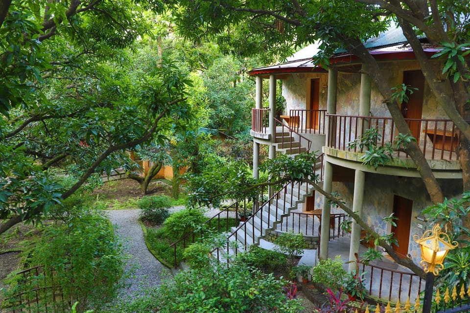 Property building, Garden, Garden view