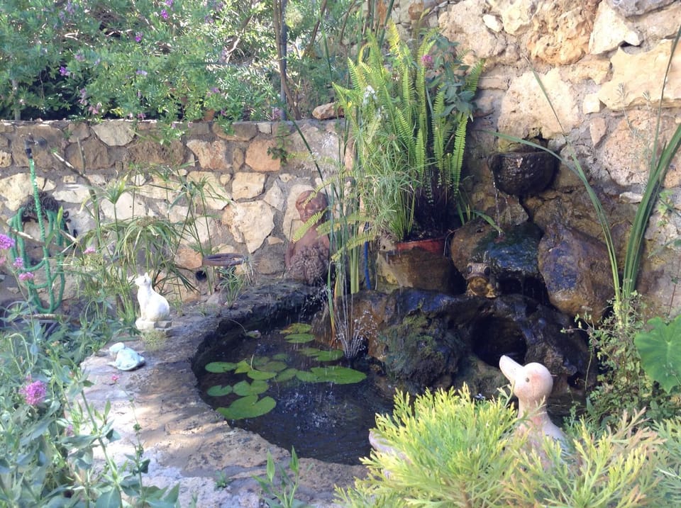 Olive House Traditional Villa with Pool Villa in Lasithi