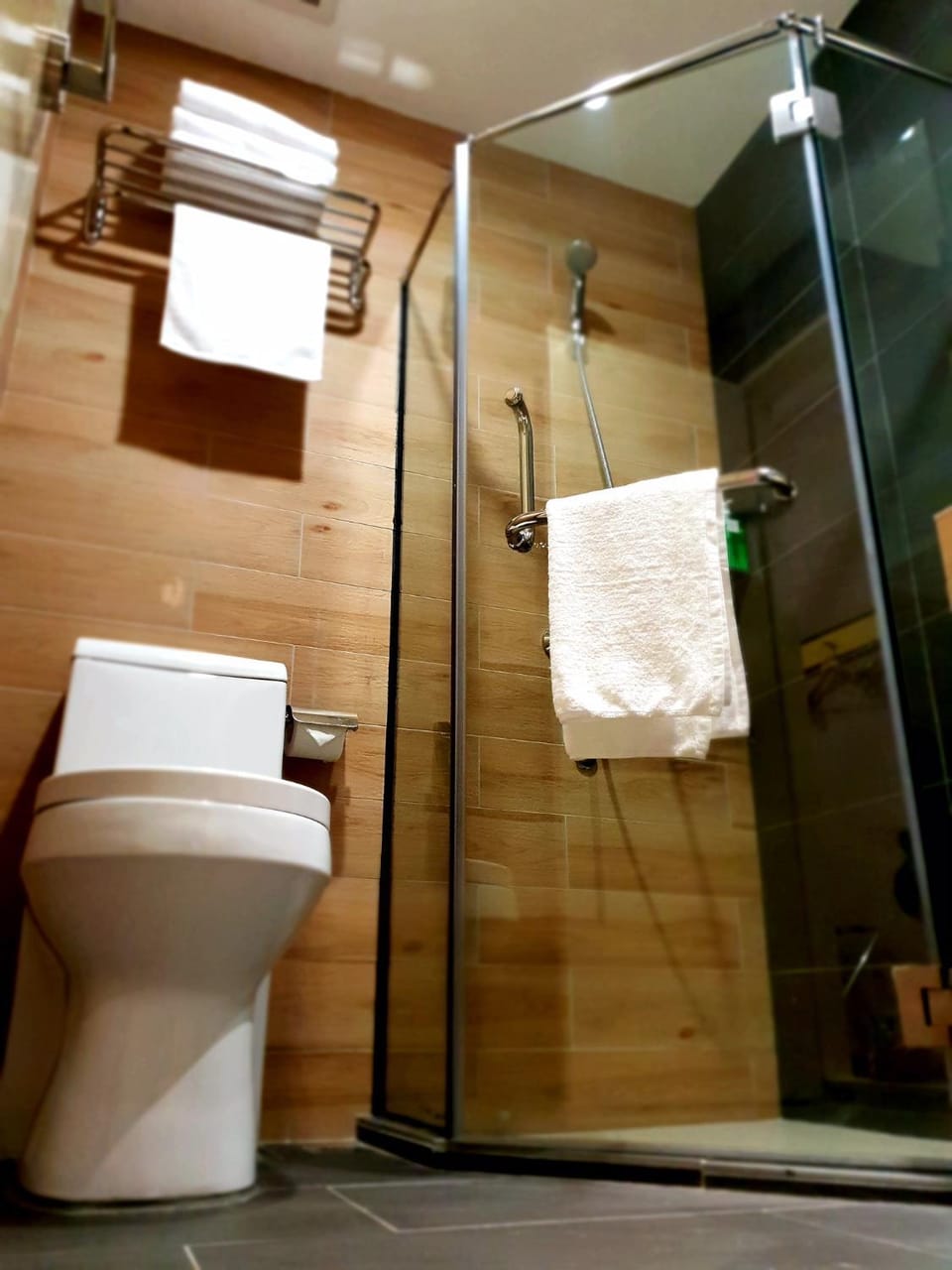 Shower, Toilet, Bathroom