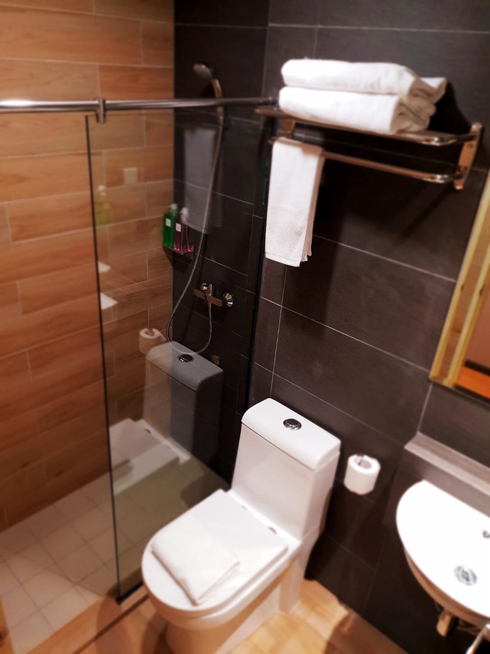 Shower, Toilet, Bathroom