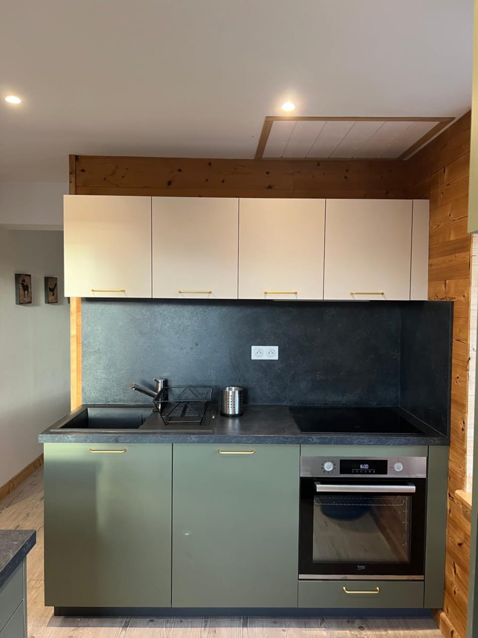 Kitchen or kitchenette, minibar, pet friendly, stove
