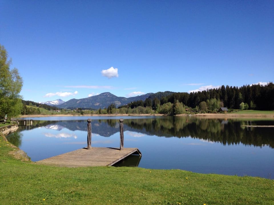 Lake view