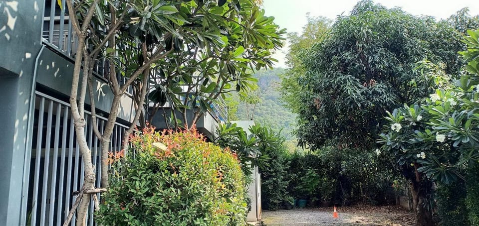Property building, Garden, Garden view