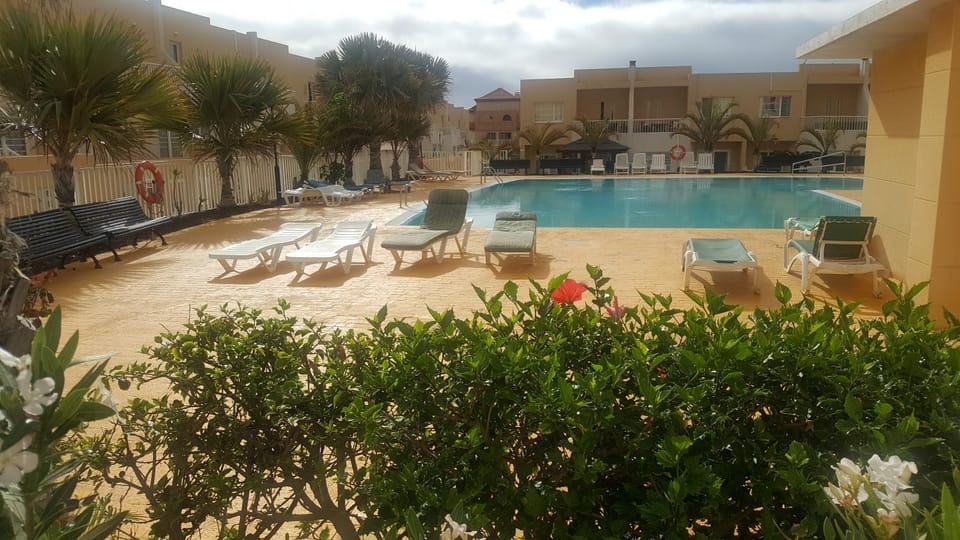 Garden, Swimming pool, Swimming pool