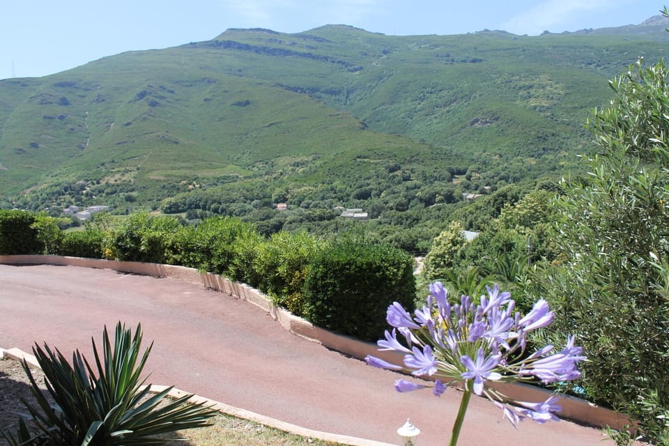 Mountain view