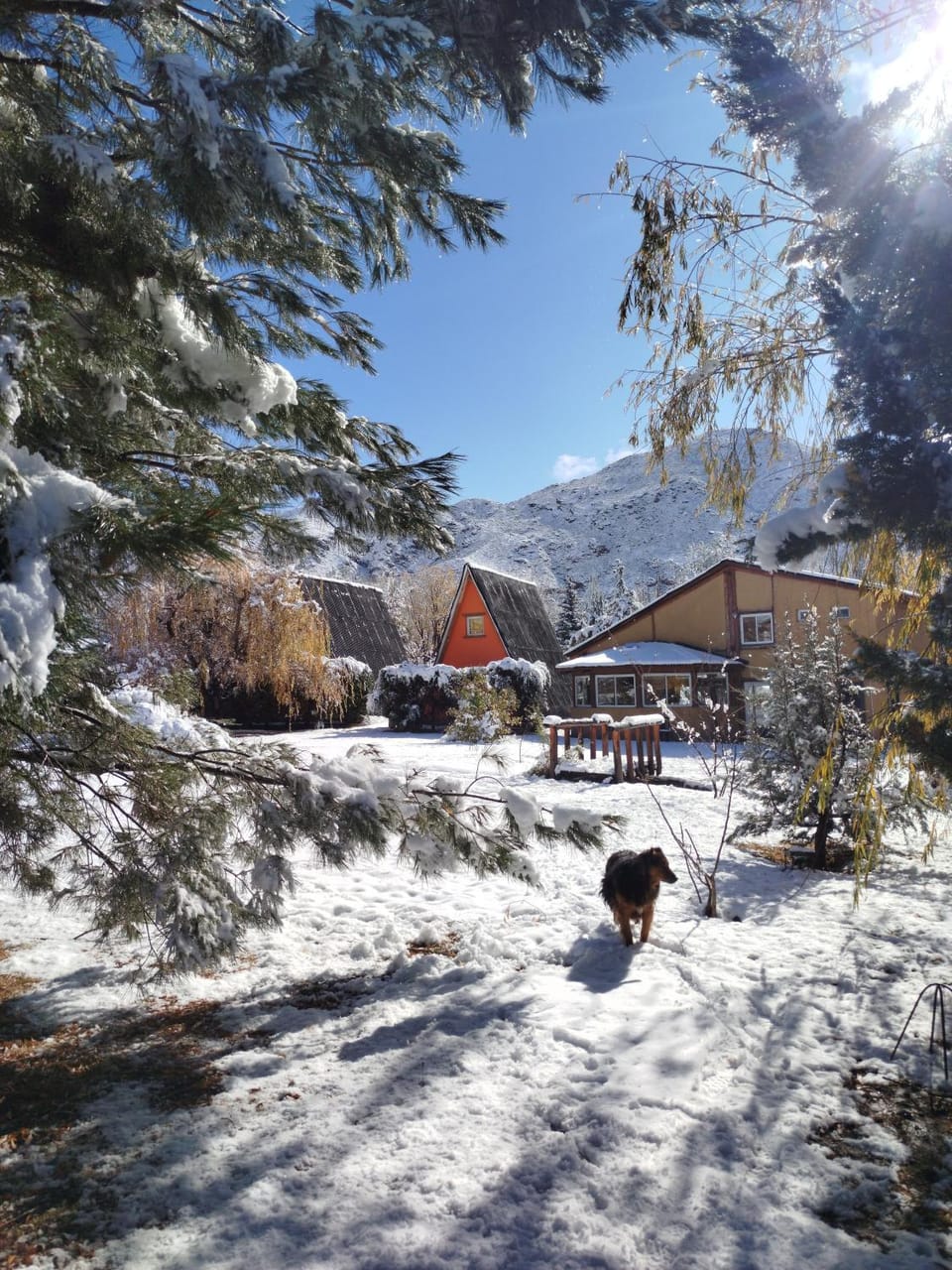 Winter