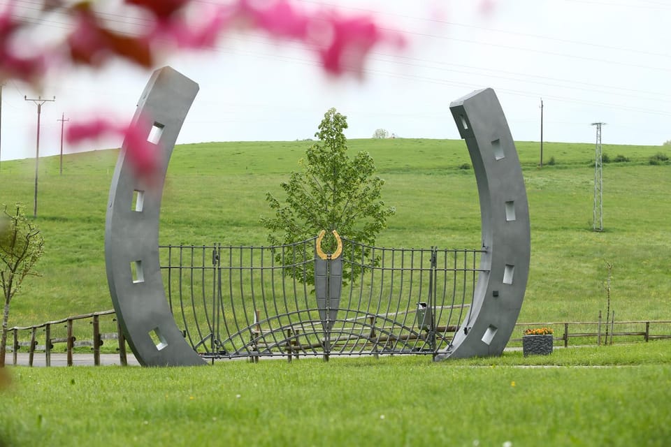 Summer, On site, Street view