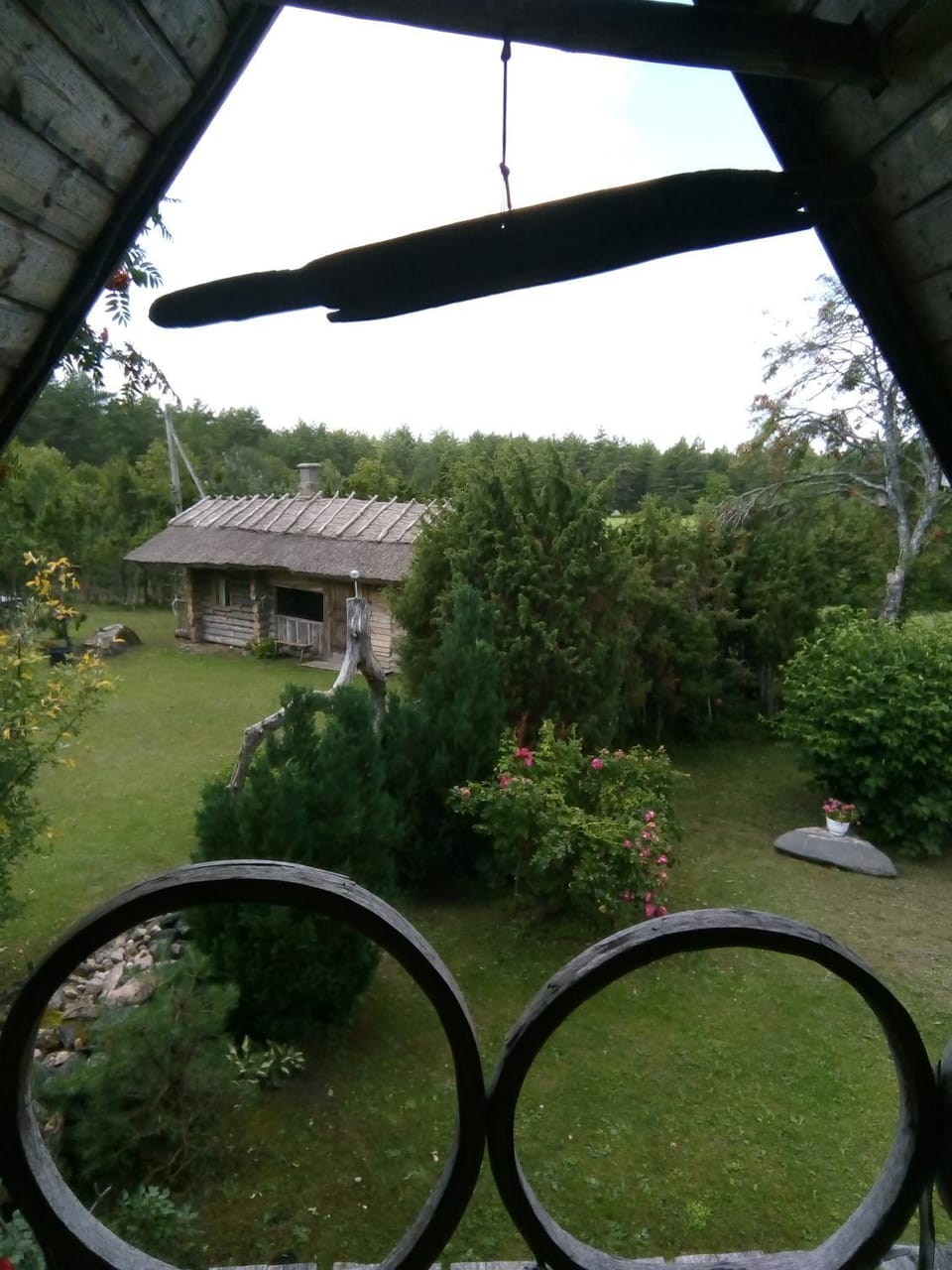 View (from property/room)