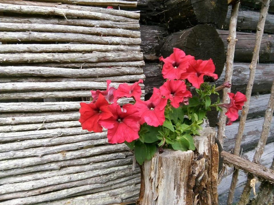 Summer, Decorative detail