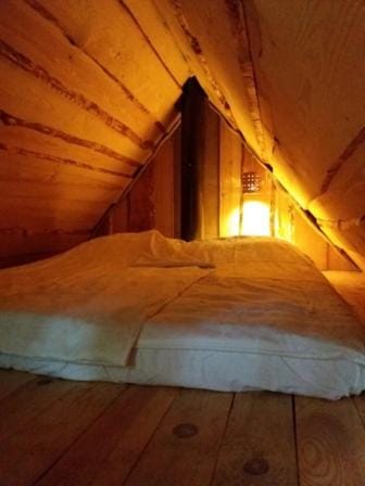 Saia Forest House Nature lodge in Harju County, Estonia