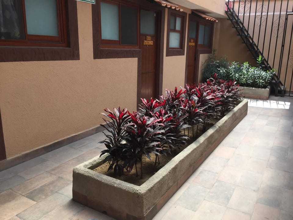 Patio, Area and facilities