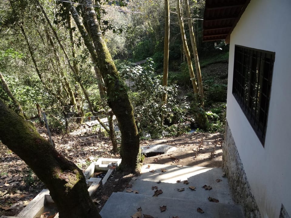 Natural landscape, Garden view