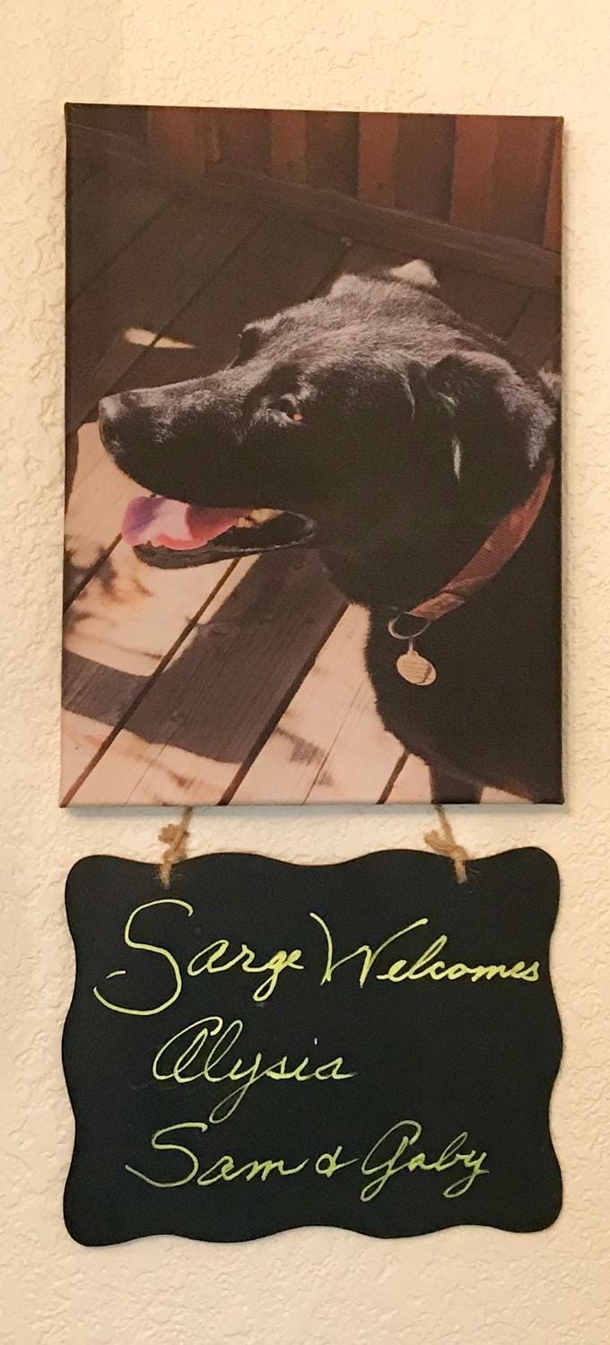 Logo/Certificate/Sign