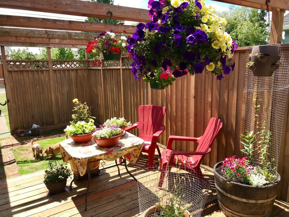 Patio, Garden