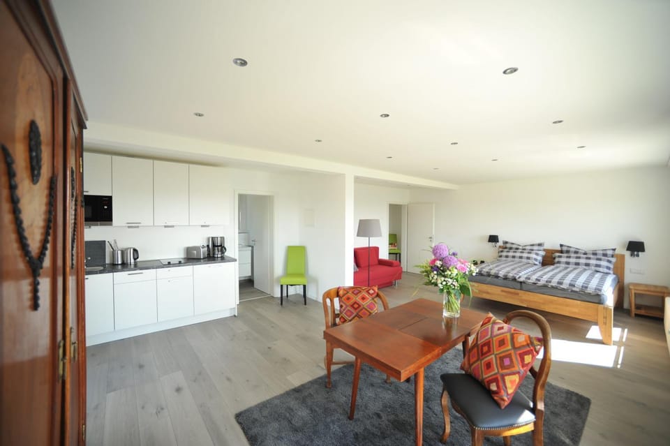 Kitchen or kitchenette, Living room, Seating area, Bedroom