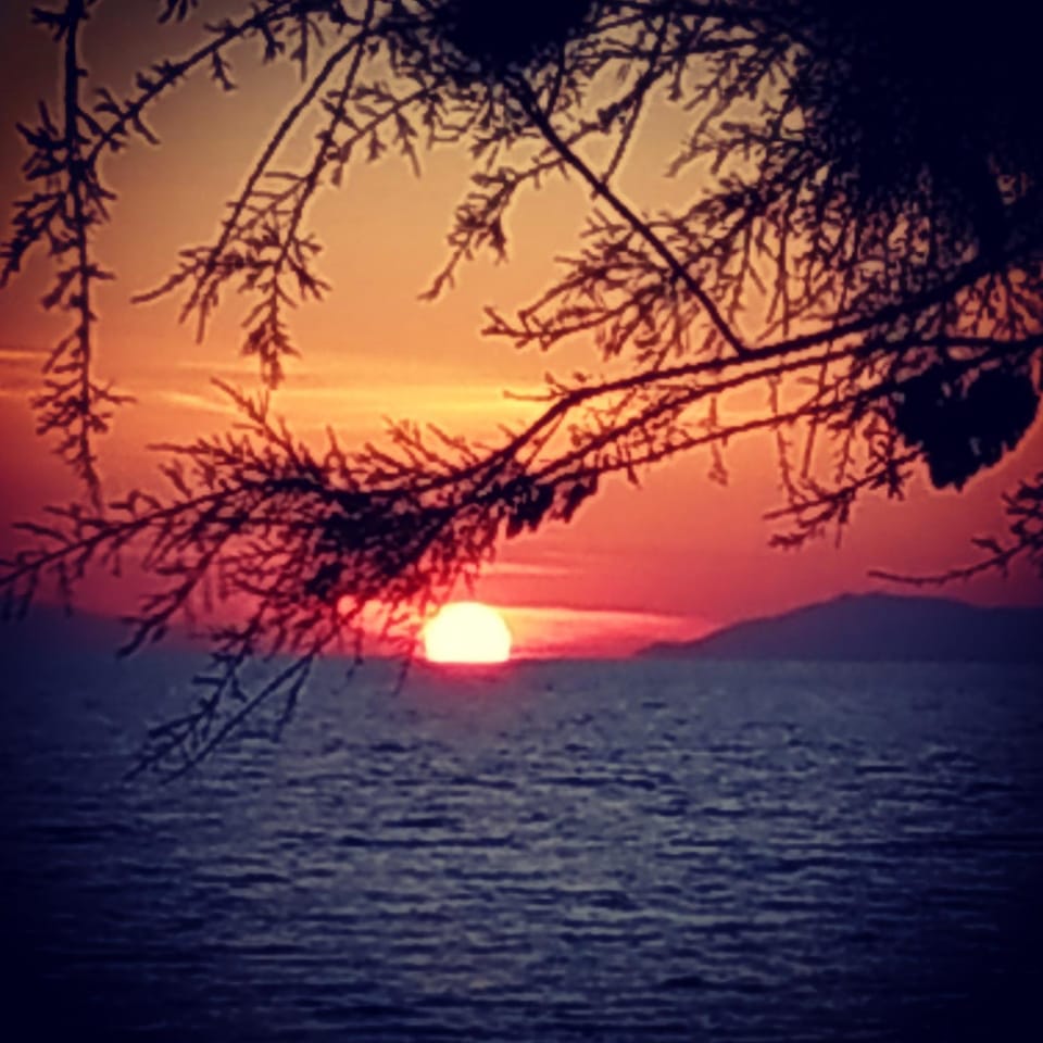 Neighbourhood, Natural landscape, Beach