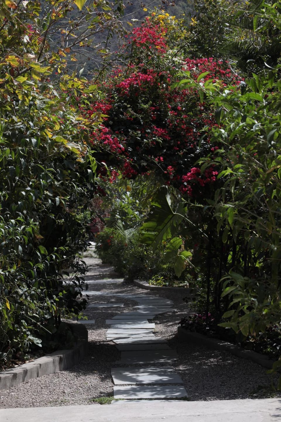 Spring, Natural landscape, Garden, Garden view